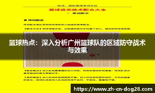 篮球热点：深入分析广州篮球队的区域防守战术与效果
